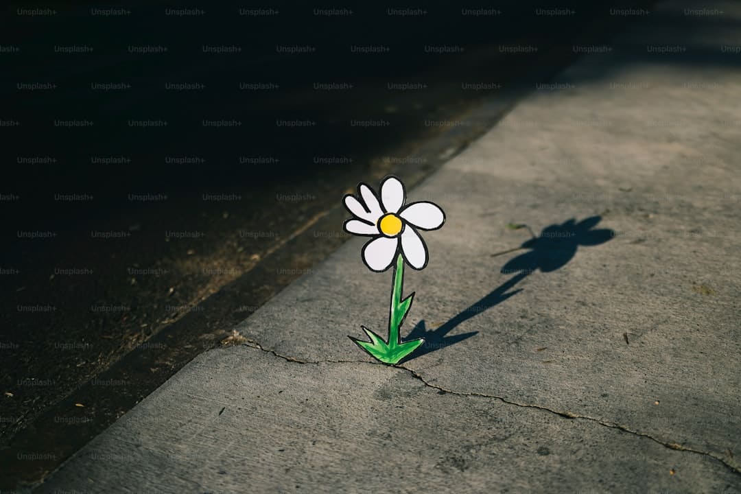 电影《有朵云像你》发布同名主题曲MV 陈昊宇温顺唱响云端爱意浪漫又治好